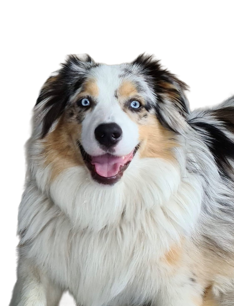 Kira